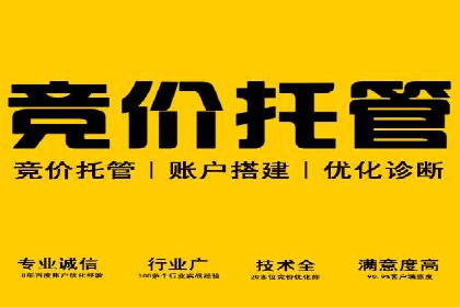 旅游行业SEM运营托管的挑战与机遇